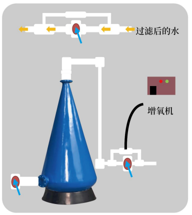 This schematic diagram professionally illustrates the design of a compact water treatment unit. The core FRP dissolved oxygen enhancement cone is not an independent device, but rather a customized device that integrates efficient gas-water mixing, oxidation reaction, and solid-liquid separation functions. The entire system process is clear and the structure is compact. It is typically applied in projects such as aquaculture, wastewater treatment, and ecological restoration where strict requirements are imposed on the dissolved oxygen content of the effluent.