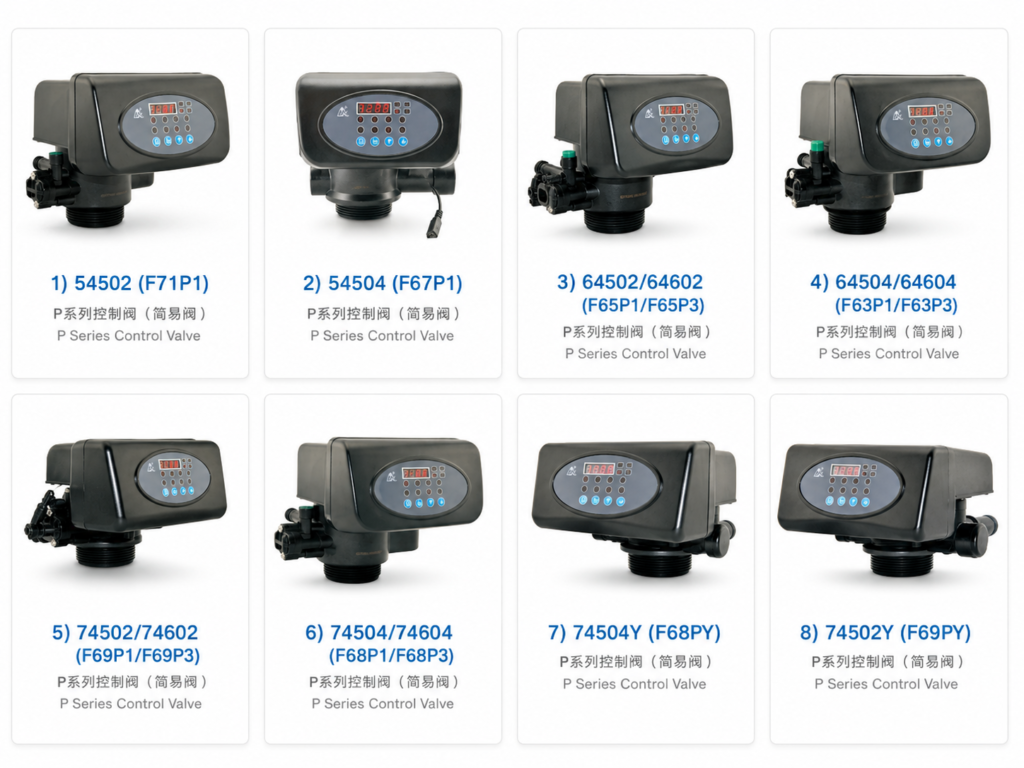 P Series Control Valve