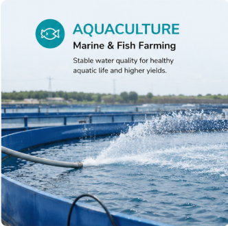 Aquaculture fish farming water purification system